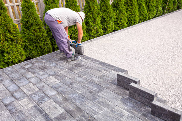 Best Custom Driveway Pavers  in Royal Palm Estates, FL