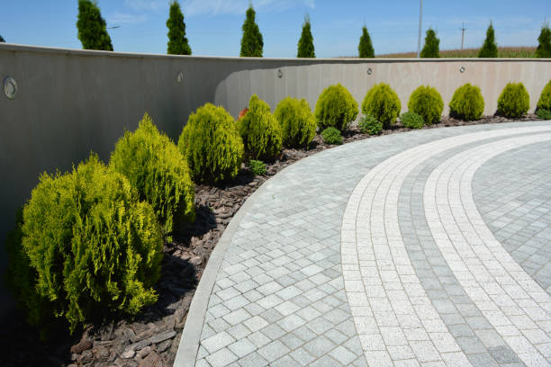 Best Residential Paver Driveway  in Royal Palm Estates, FL